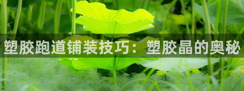 谈球吧能提现不：塑胶跑道铺装技巧：塑胶晶的奥秘