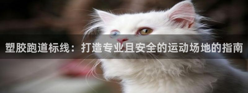 谈球吧官网在线入口免费观看视频网站：塑胶跑道标线：打
