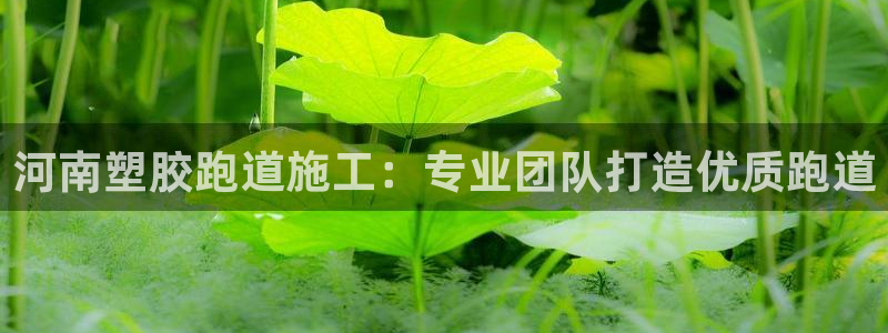 谈球吧官网在线入口手机版免费