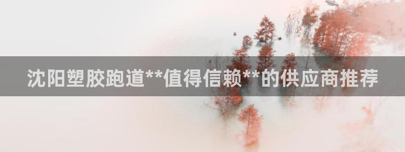 谈球吧官网登录：沈阳塑胶跑道**值得信赖**的供应商推荐