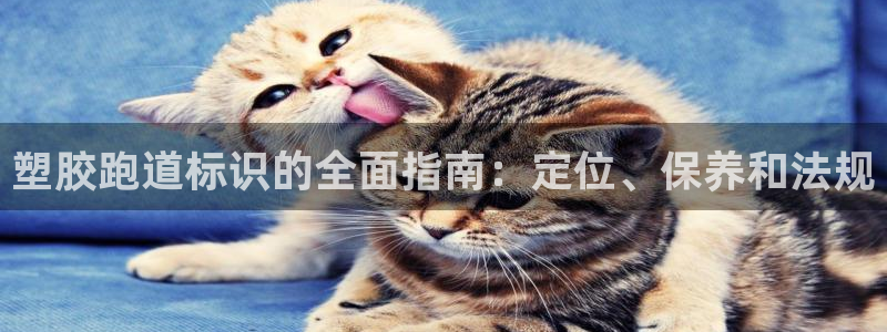 谈球吧娱乐app下载官网苹果版：塑胶跑道标识的全面指南：定位、保养和法规