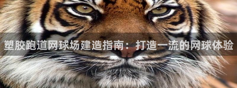谈球吧官网在线入口免费观看视频：塑胶跑道网球场建造指南：打造一流的网球体验