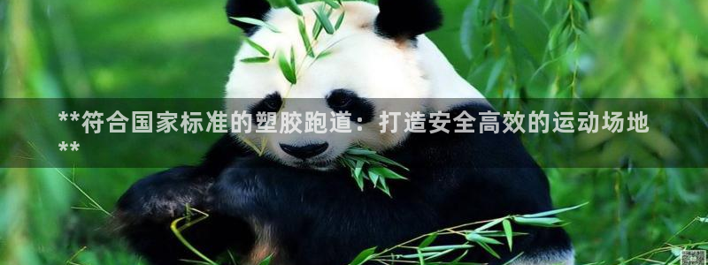 谈球吧电子app：**符合国家标准的塑胶跑道：打造安全高效的运动场地
**