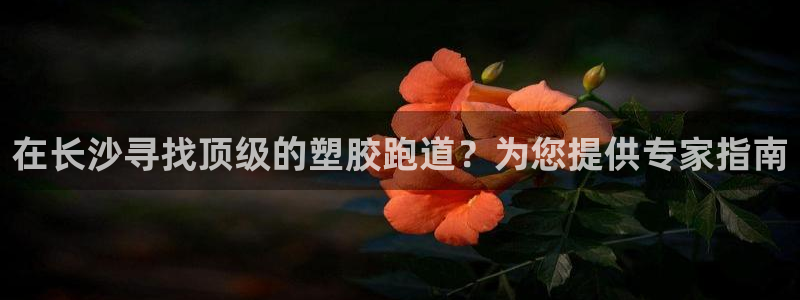 谈球吧网址：在长沙寻找顶级的塑胶跑道？为您提供专家指南