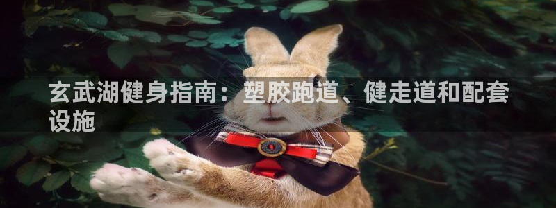 谈球吧体育app下载：玄武湖健身指南：塑胶跑道、健走道和配套
设施