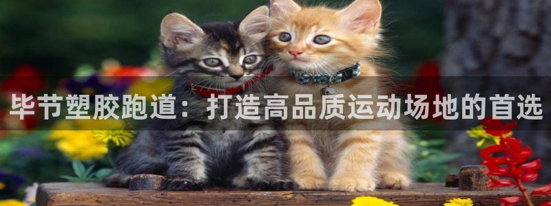 谈球吧的聊天软件叫什么名字：毕节塑胶跑道：打造高品质运动场地的首选