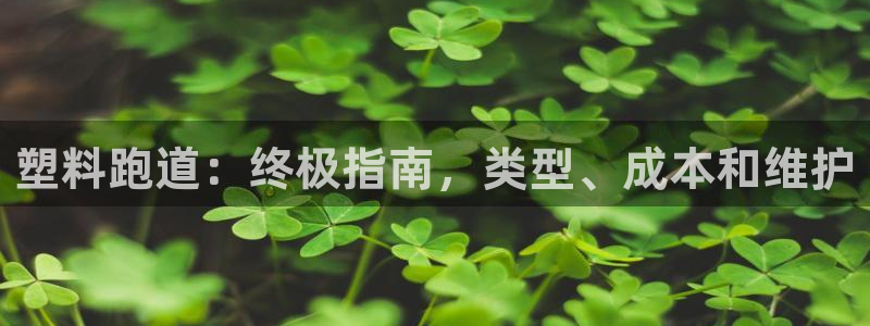 谈球吧体育app下载官网苹果手机：塑料跑道：终极指南，类型、成本和维护