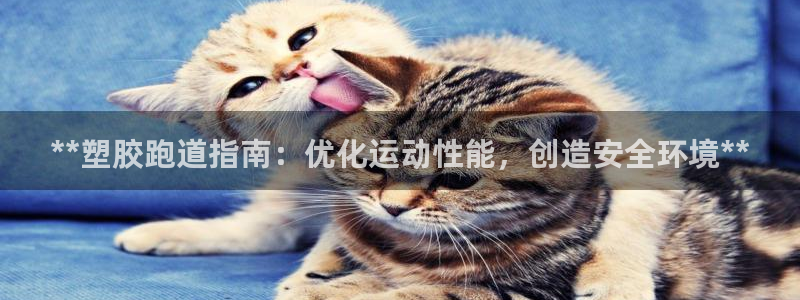谈球吧官网在线入口手机版免费观看：**塑胶跑道指南：优化运动性能，创造安全环境**