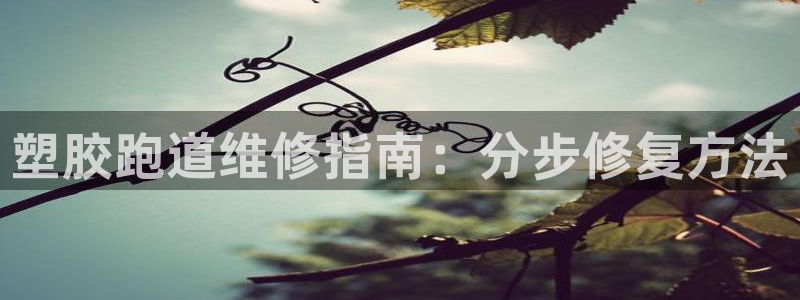 谈球吧入口：塑胶跑道维修指南：分步修复方法