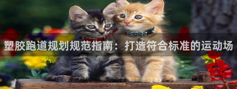 谈球吧的聊天软件下载：塑胶跑道规划规范指南：打造符合