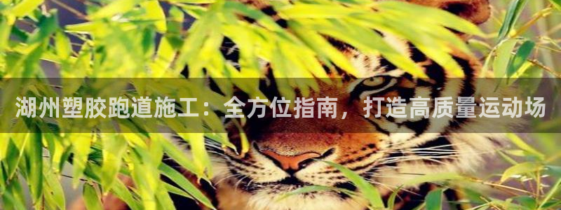 谈球吧app官网下载安卓：湖州塑胶跑道施工：全方位指南，打造高质量运动场