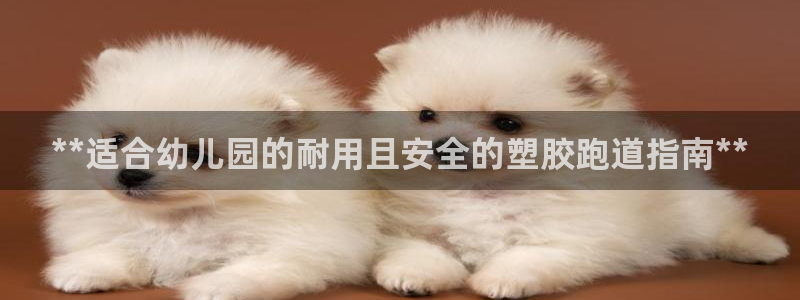 tqb谈球吧：**适合幼儿园的耐用且安全的塑胶跑道指南**