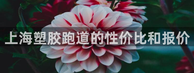 谈球吧平台正规吗可信吗知乎：上海塑胶跑道的性价比和报价