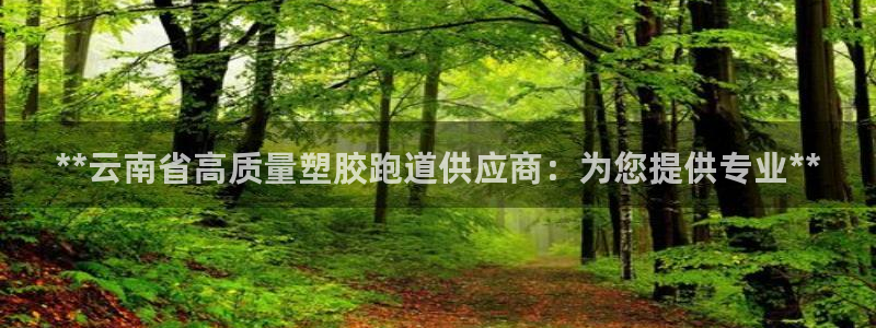 谈球吧体育app下载足球直播：**云南省高质量塑胶跑道供应商：为您提供专业**