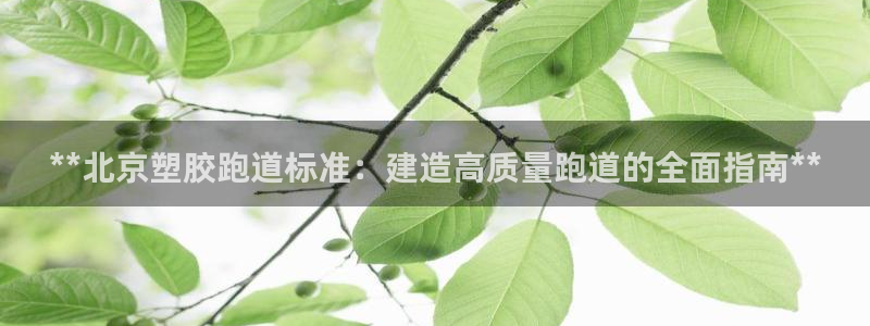 谈球吧怎么样?：**北京塑胶跑道标准：建造高质量跑道的全面指南**