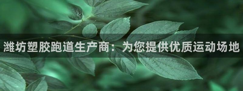 谈球吧体育app下载足球直播软件：潍坊塑胶跑道生产商