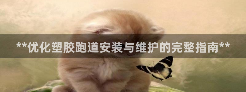 谈球吧是黑台子吗还是白台子好：**优化塑胶跑道安装与维护的完整指南**