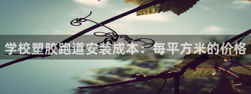 谈球吧app下载安装：学校塑胶跑道安装成本：每平方米的价格