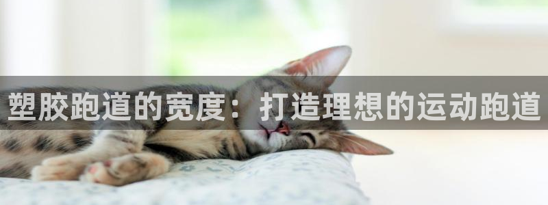 谈球吧体育app下载足球比赛：塑胶跑道的宽度：打造理想的运动跑道