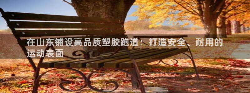 谈球吧在线：在山东铺设高品质塑胶跑道：打造安全、耐用的
运动表面