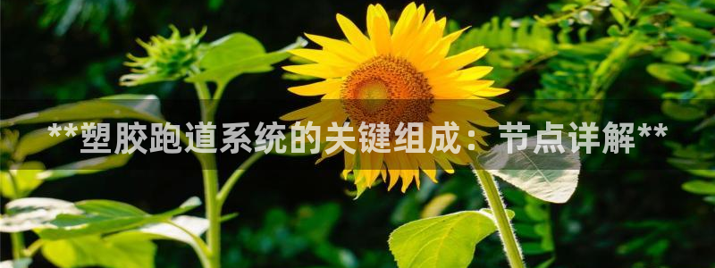 谈球吧被黑不给提现：**塑胶跑道系统的关键组成：节点详解**