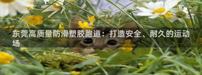 谈球吧app赛事分析报告：东莞高质量防滑塑胶跑道：打造安全、耐久的运动
场