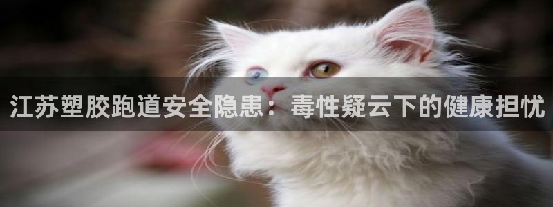 谈球吧下载：江苏塑胶跑道安全隐患：毒性疑云下的健康担忧