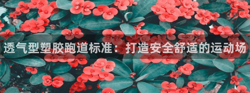 谈球吧黑款不：透气型塑胶跑道标准：打造安全舒适的运动场