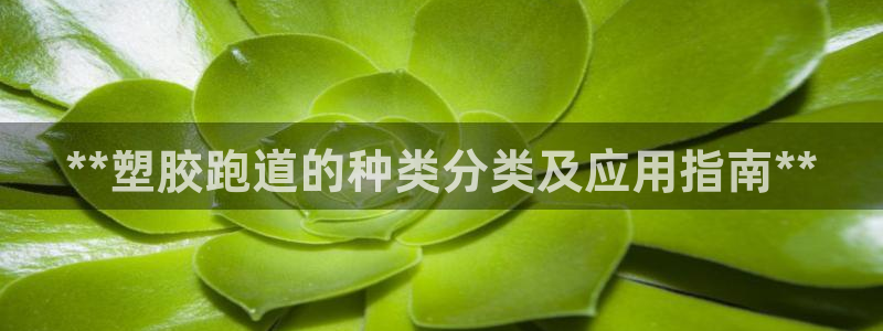 谈球吧怎么充值：**塑胶跑道的种类分类及应用指南**