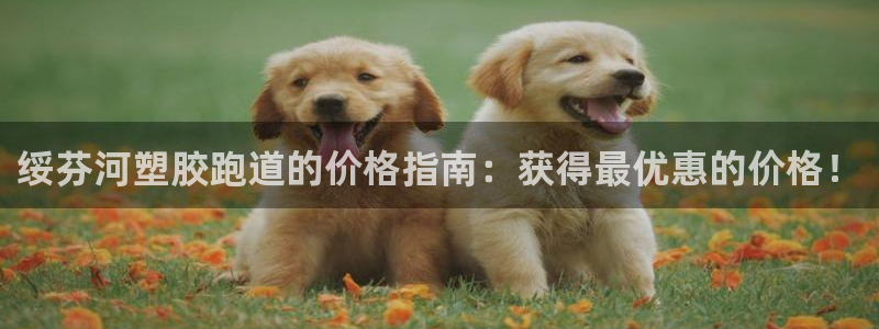 谈球吧体育官方入口：绥芬河塑胶跑道的价格指南：获得最优惠的价格！