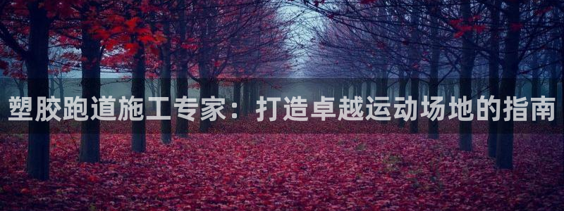 谈球吧体育app下载官网苹果版：塑胶跑道施工专家：打
