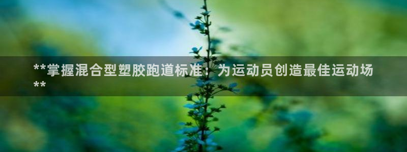 谈球吧体育app下载中心官方：**掌握混合型塑胶跑道标准：为运动员创造最佳运动场
**