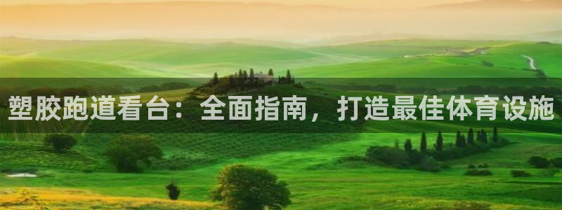 谈球吧红包激活码：塑胶跑道看台：全面指南，打造最佳体育设施