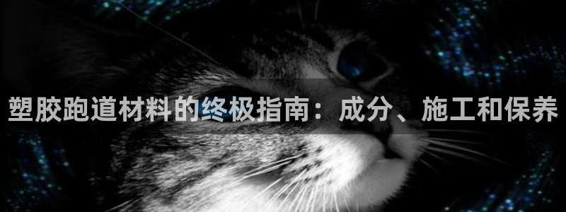 谈球吧官网在线入口网址：塑胶跑道材料的终极指南：成分、施工和保养