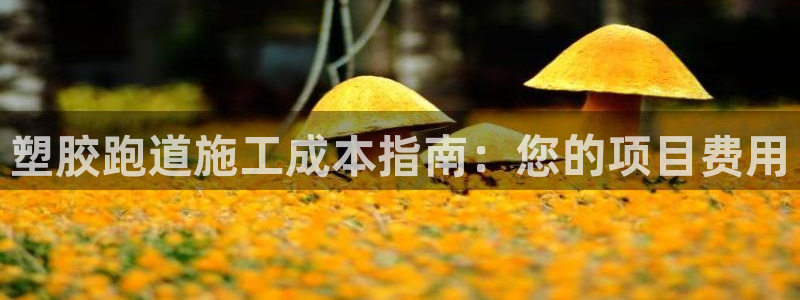 谈球吧网址：塑胶跑道施工成本指南：您的项目费用