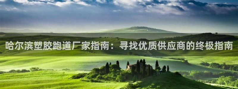 谈球吧体育首页综合登陆：哈尔滨塑胶跑道厂家指南：寻找优质供应商的终极指南