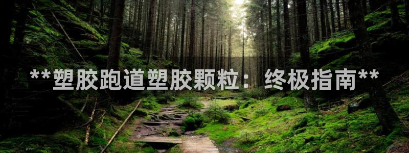 谈球吧体育app下载足球直播：**塑胶跑道塑胶颗粒：终极指南**