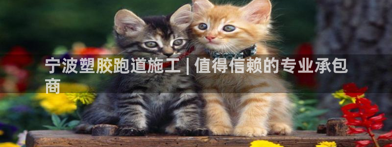 谈球吧体育app下载足球比赛：宁波塑胶跑道施工 | 值得信赖的专业承包
商