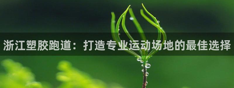 谈球吧在线：浙江塑胶跑道：打造专业运动场地的最佳选择