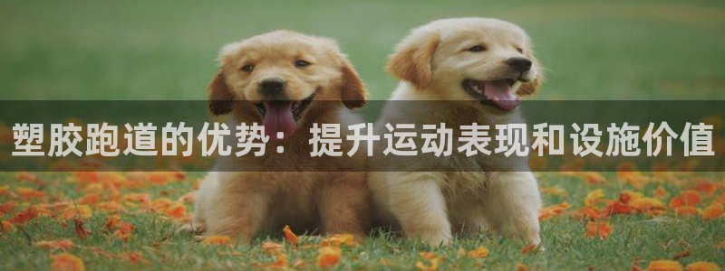 谈球吧是黑台子吗还是白台子