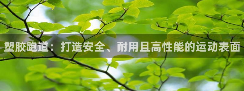 谈球吧的聊天软件是什么：塑胶跑道：打造安全、耐用且高性能的运动表面