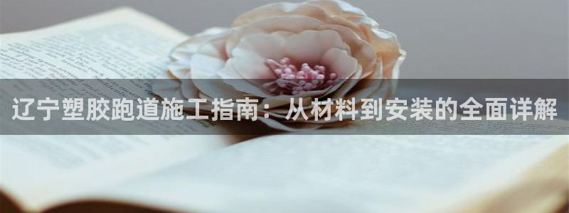 谈球吧官网在线入口手机版免费：辽宁塑胶跑道施工指南：从材料到安装的全面详解