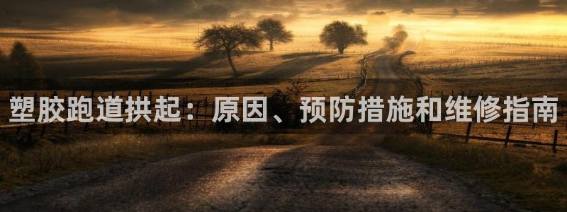 谈球吧平台正规吗：塑胶跑道拱起：原因、预防措施和维修指南