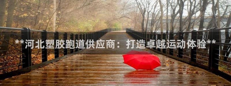 谈球吧体育app官网：**河北塑胶跑道供应商：打造卓