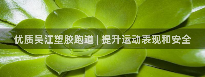 谈球吧官网在线入口手机版：优质吴江塑胶跑道 | 提升运动表现和安全