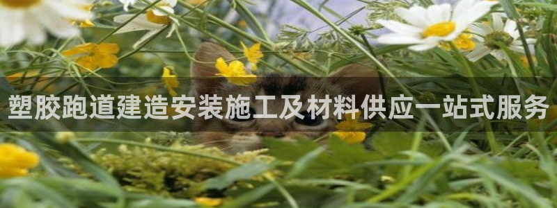 谈球吧(中国)官方网站：塑胶跑道建造安装施工及材料供