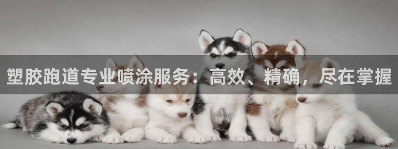 谈球吧网页登陆：塑胶跑道专业喷涂服务：高效、精确，尽在掌握