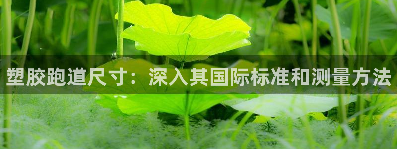 谈球吧红包激活码：塑胶跑道尺寸：深入其国际标准和测量方法