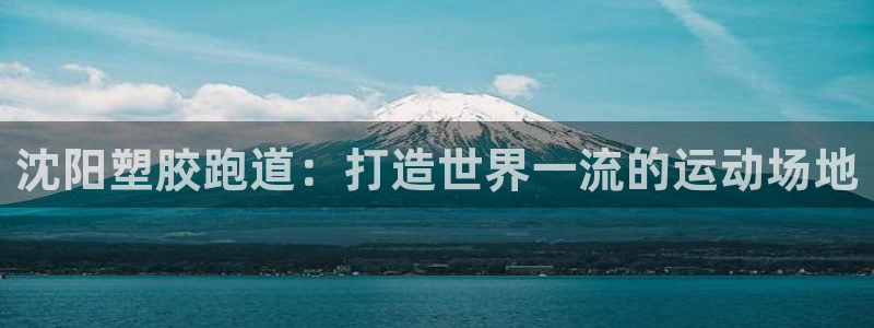 谈球吧App：沈阳塑胶跑道：打造世界一流的运动场地