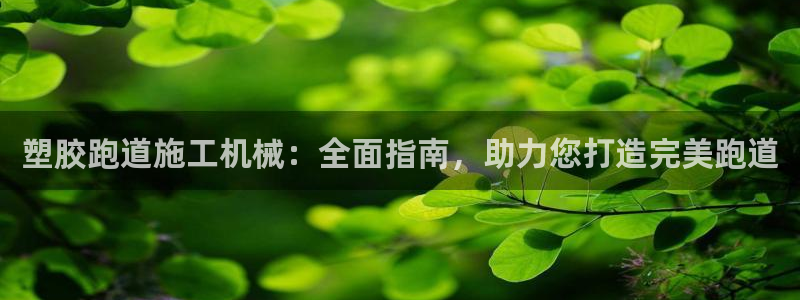 谈球吧买球靠谱吗：塑胶跑道施工机械：全面指南，助力您